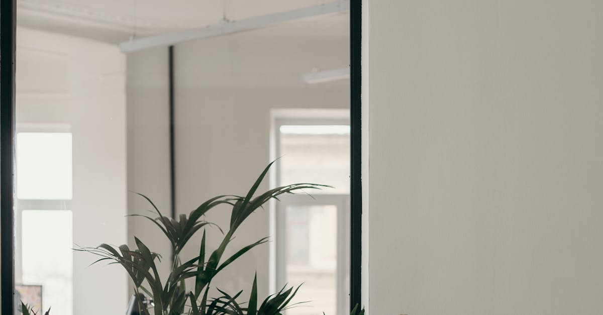 10 tips for building an impressive project management portfolio