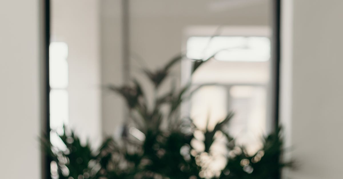 A review of the top project management associations to join