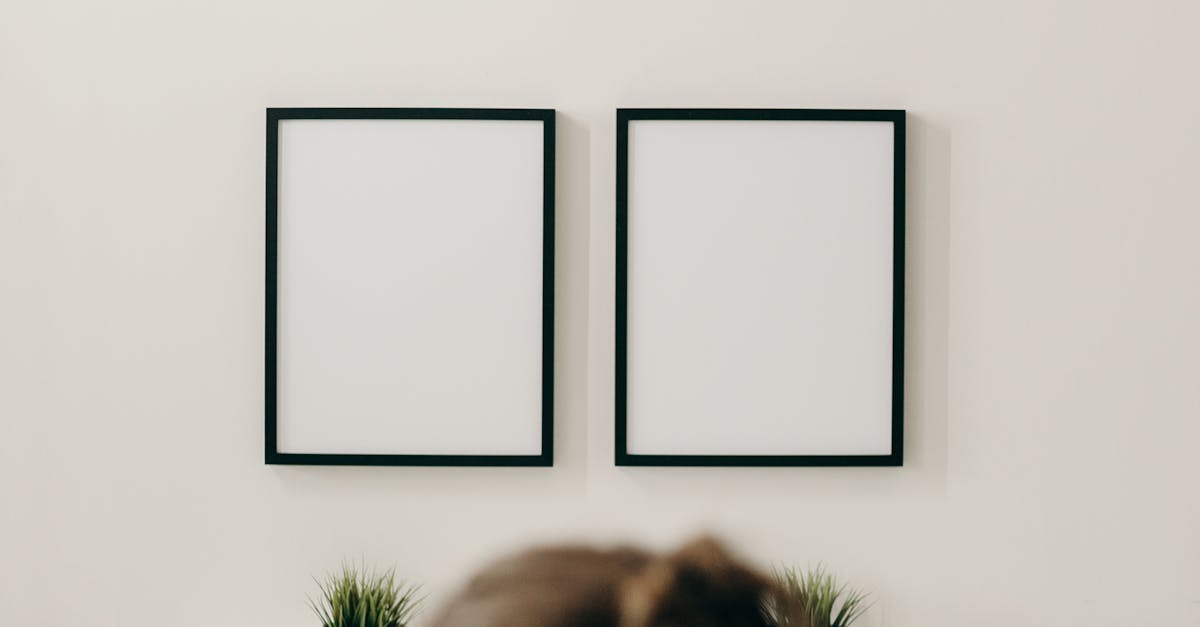 How to Identify the Best Continuing Education Courses for Project Management