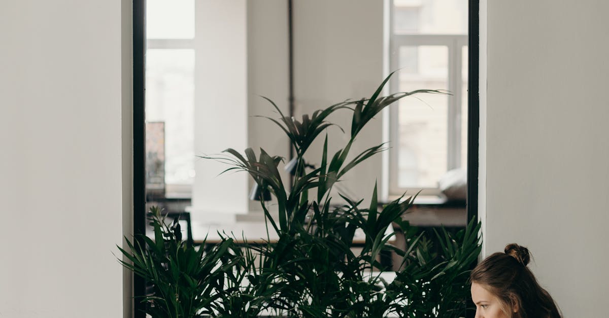 How to showcase your project portfolio to potential employers