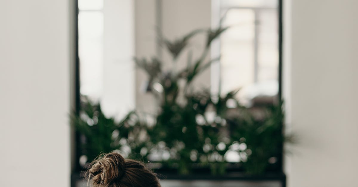 Reviewing the best tools for creating a portfolio